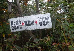 qRR