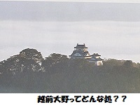 V̏EzO