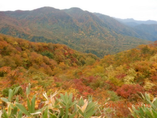 打波谷の紅葉