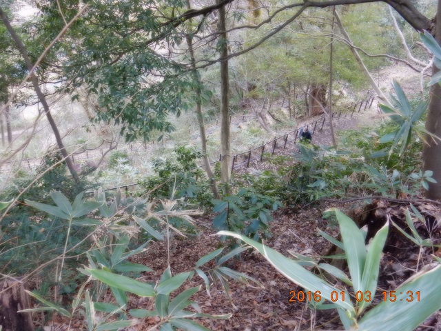百闕笂oり道