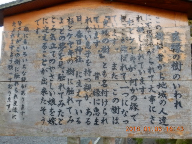 良縁の木のいわれ