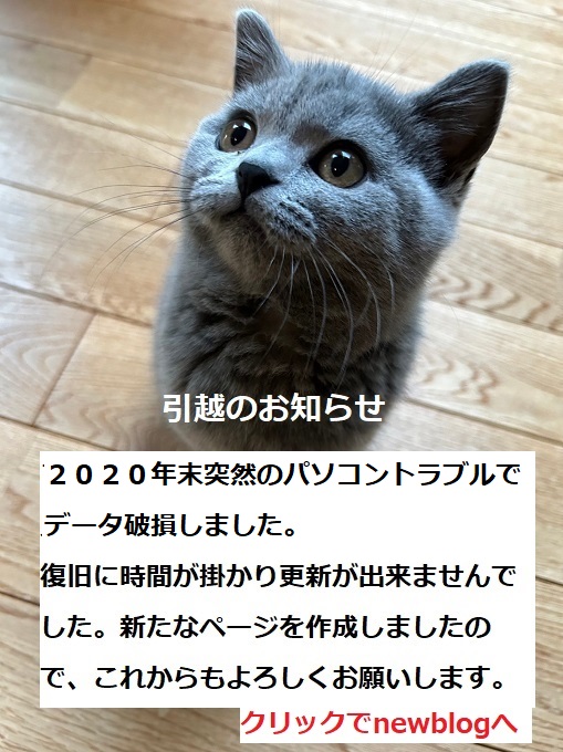 引越のお知らせ