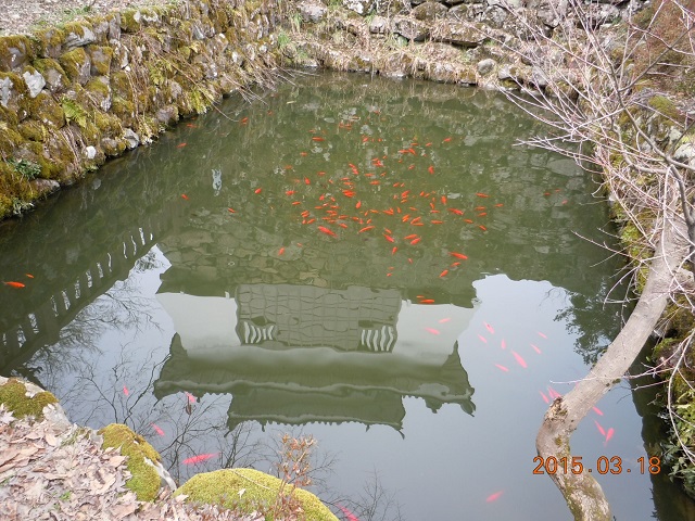 お福池