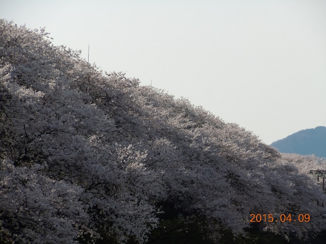 荶݉]