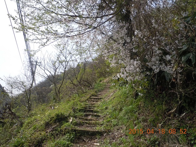 orCoR̍