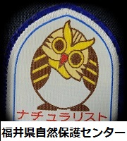 䌧RیZ^[