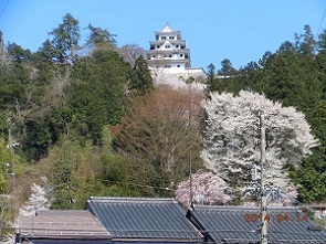 郡上八幡城