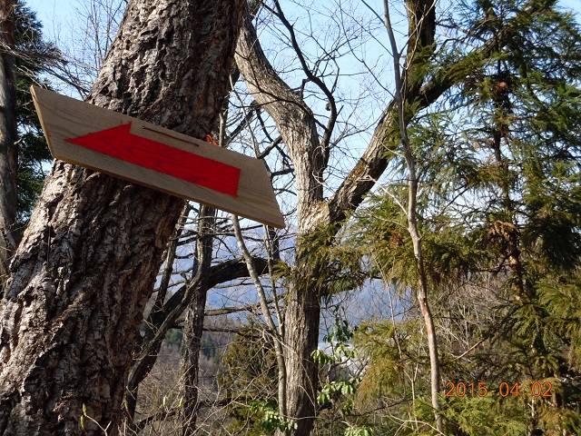 分岐の目印